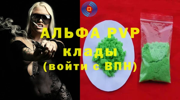 молекула духа Арсеньев