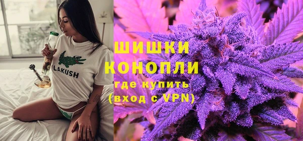 молекула духа Арсеньев