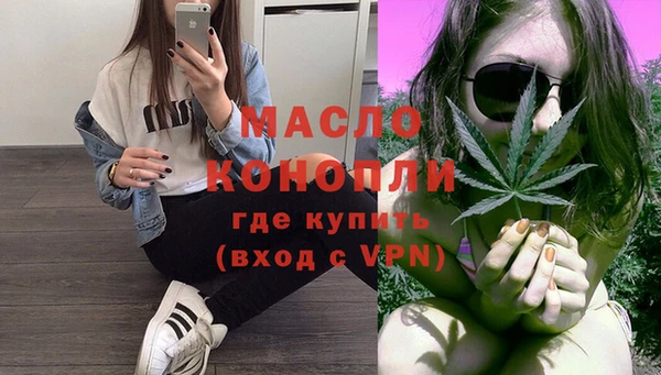 молекула духа Арсеньев
