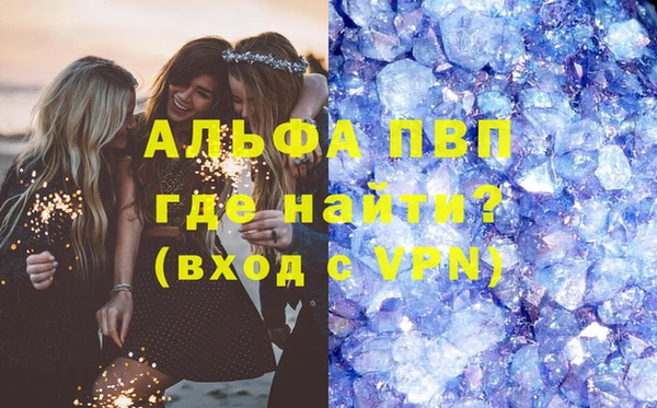 молекула духа Арсеньев
