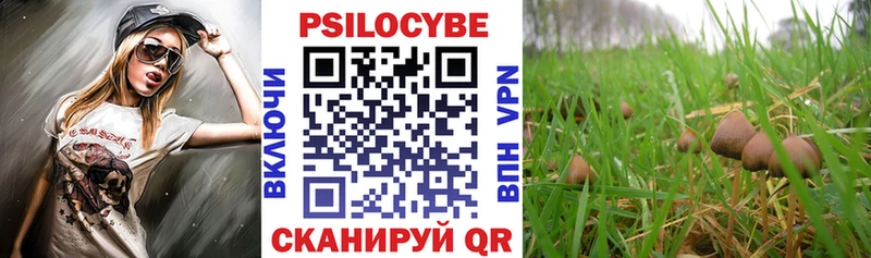Псилоцибиновые грибы мицелий  купить наркоту  Ельня 